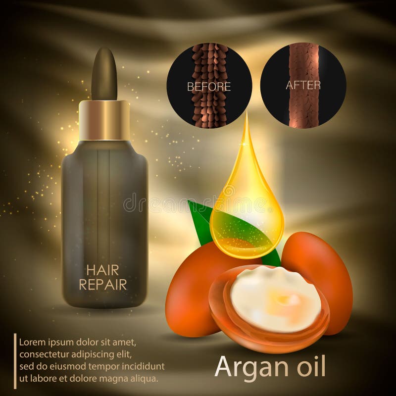Argan oil for hair care. stock vector. Illustration of essence 124618744