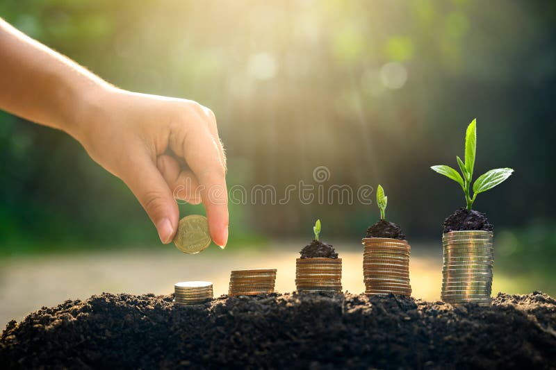 Argent d'?conomie de croissance d'argent L'arbre sup?rieur invente le concept montr? des affaires croissantes images stock Argent d'?conomie de croissance d'argent L'arbre sup?rieur invente le concept montr? des affaires croissantes images stock