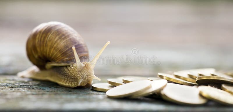 Argent et escargot photo libre de droits Argent et escargot photo libre de droits