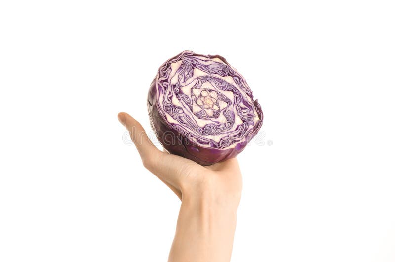 Argomento sano di dieta e di cibo: Mano umana che giudica una metà di cavolo rosso isolata su un fondo bianco nello studio, in pr fotografia stock