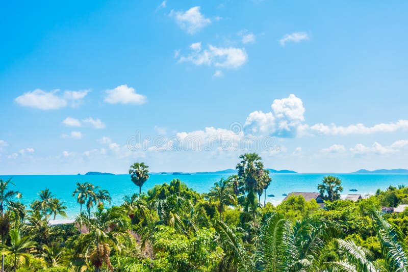 Arial view of sea and beach