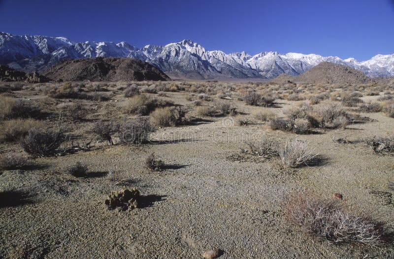 Arid Owens Valley and Sierra Nevada mountains stock photo Arid Owens Valley and Sierra Nevada mountains stock photo