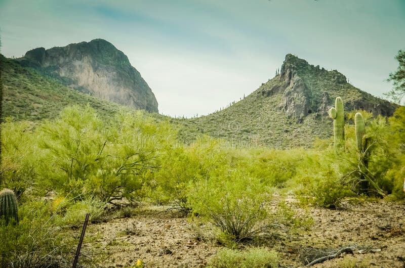 Arizona Desert stock photo. Image of arizona, usury, phoenix 84513994