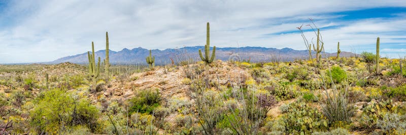 Arizona-Landschaften