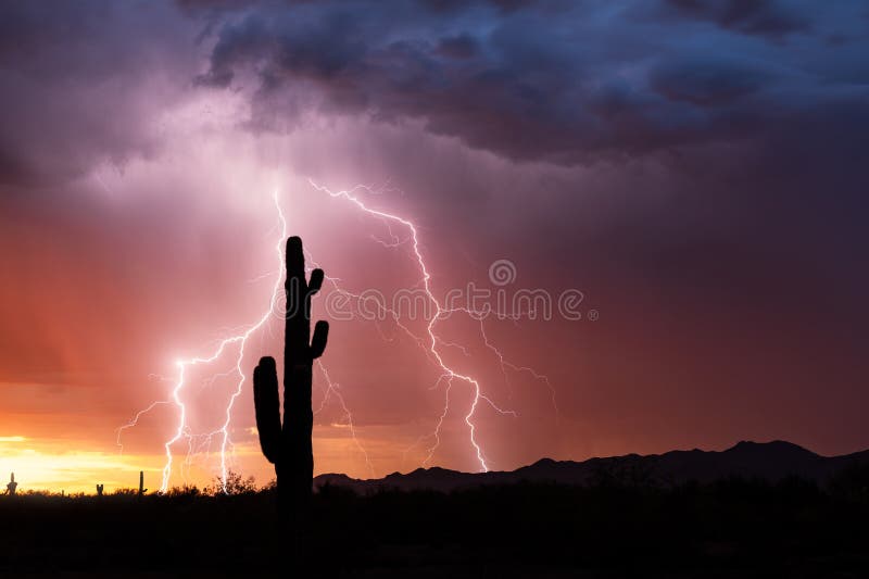 Arizona lightning in the desert at sunset