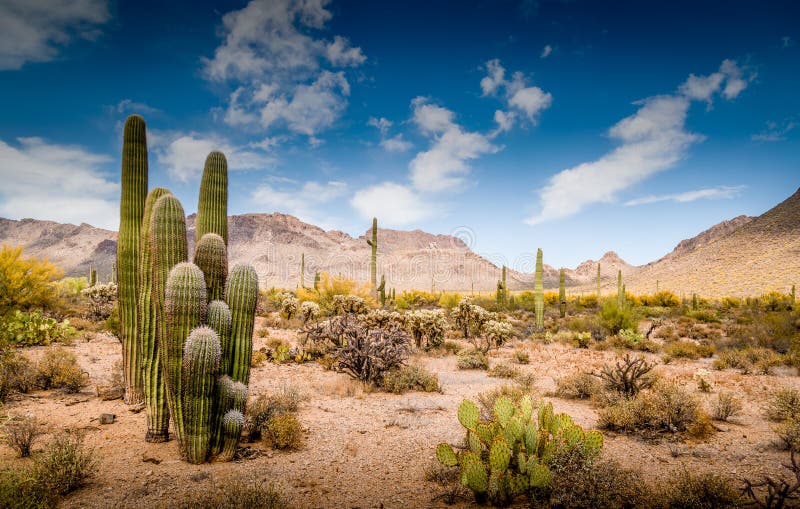 Southwestern landscape stock photo. Image of stones, landscape - 56294098