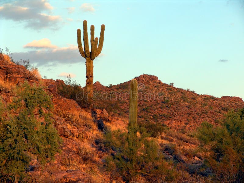 colorful arizona scenery colorful arizona scenery