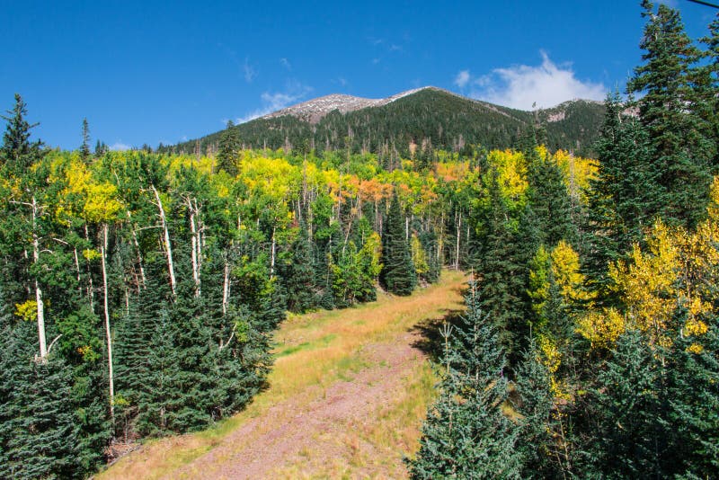 Arizona Snowbowl in summertime in Flagstaff