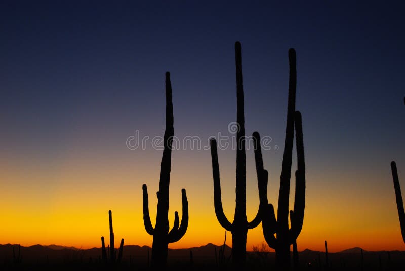 Arizona Sunset stock images