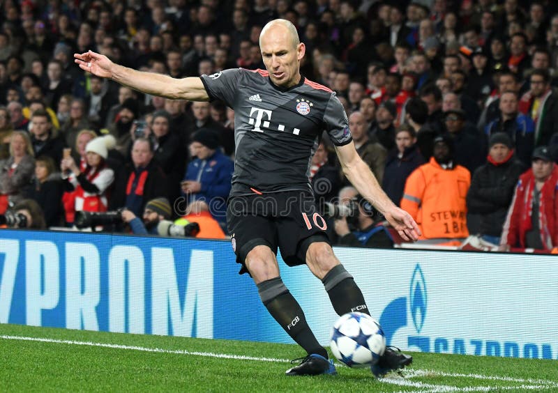 Arjen robben obraz stock