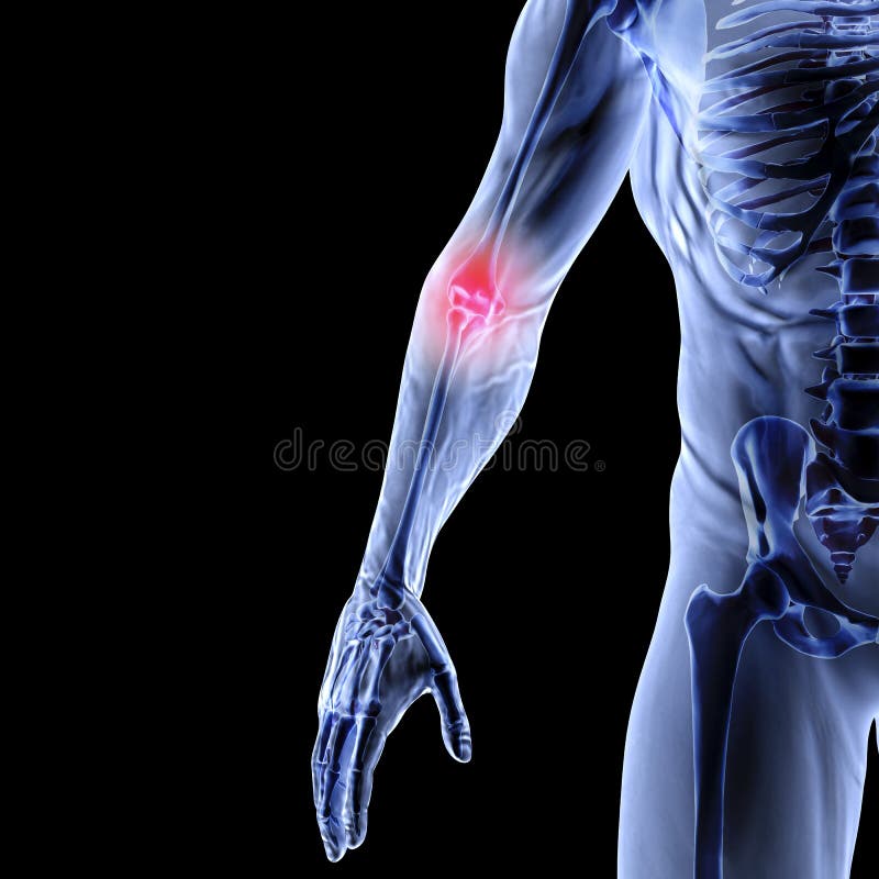 Arm royalty free illustration