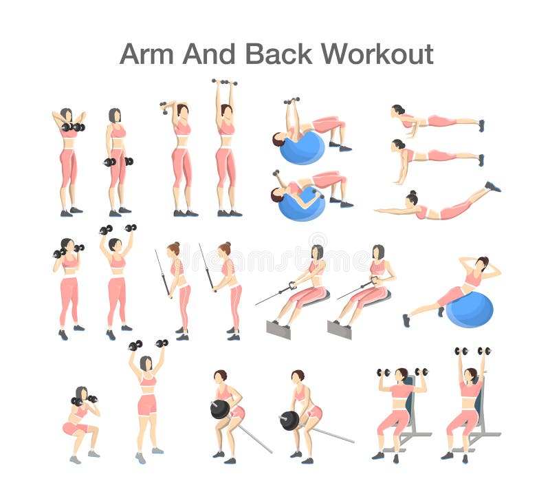 Arm and Back Workout Set with Different Tools Stock Vector ...