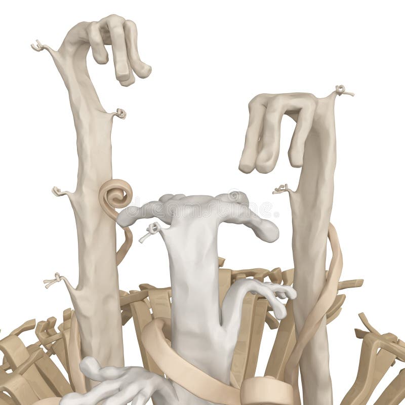 Arm Growth stock illustration. Illustration of many, cutout - 20705556