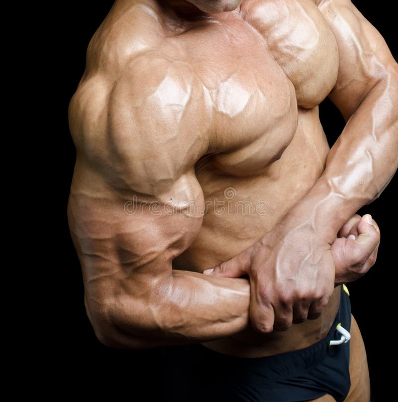 Arm and Torso of Muscular Male Bodybuilder Flexing Biceps Stock Photo -  Image of power, male: 35360926