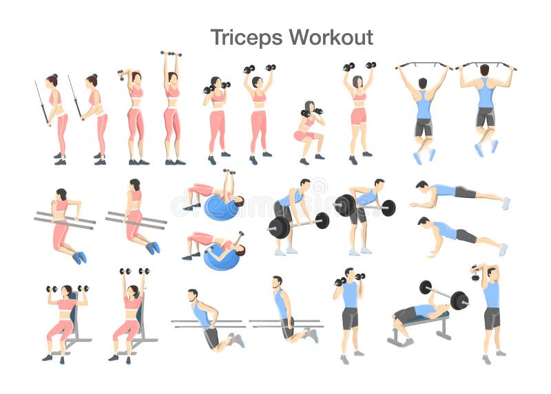Arm Triceps Workout Set With Dumbbell And Barbell Stock ...