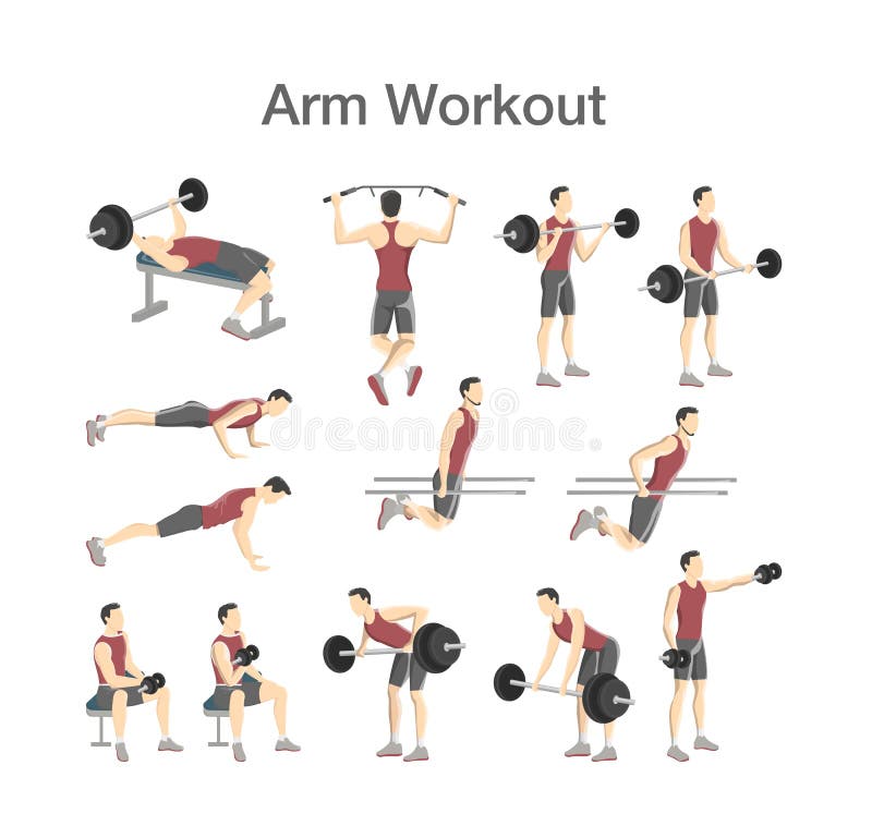 camera desinfecteren chocola Arm Workout for Man. Exercise for Strong Arms Stock Vector - Illustration  of bodybuilding, isolated: 144977355