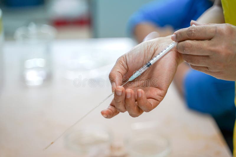 Armazenamento de congelação do esperma de Cryopreservation no tubo capilar fotografia de stock Armazenamento de congelação do esperma de Cryopreservation no tubo capilar fotografia de stock