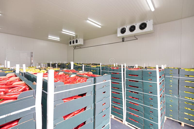 Peppers Vegetables in Boxes in Distribution Warehouse. Peppers Vegetables in Boxes in Distribution Warehouse