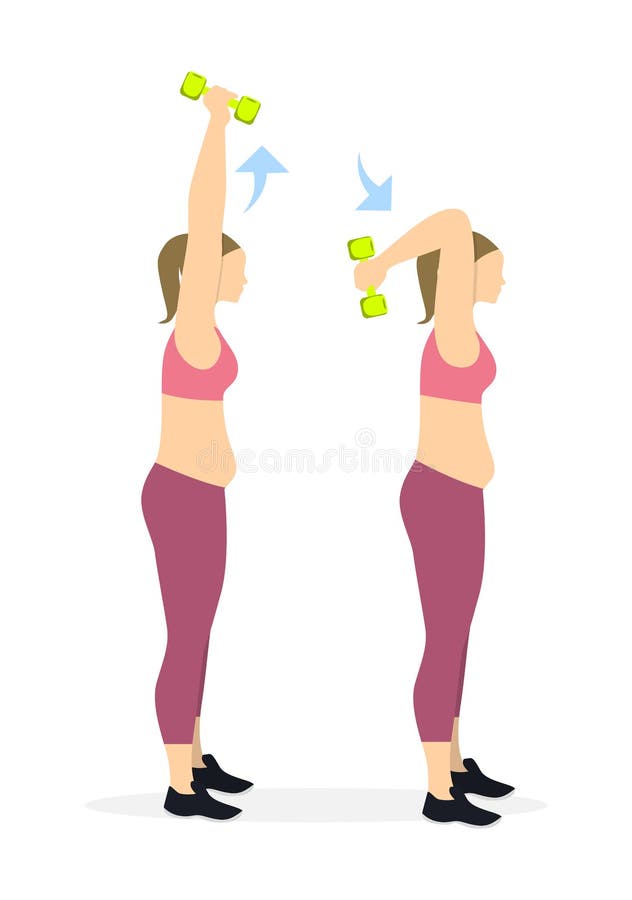 Arms exercise for women. royalty free illustration