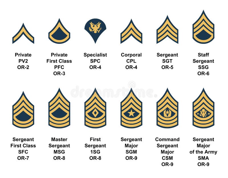 Army Enlisted Rank Insignia Stock Vector - Illustration of command ...