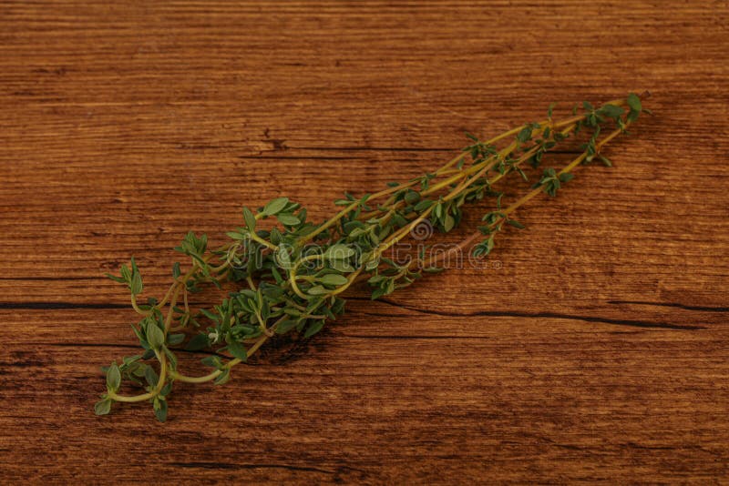 Aroma Fresh Green Thyme Branch Stock Photo Image of cooking, thyme