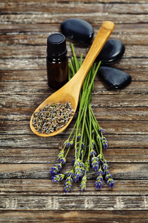 Rosemary Aromatherapy stock image. Image of brown, isolated 15415587