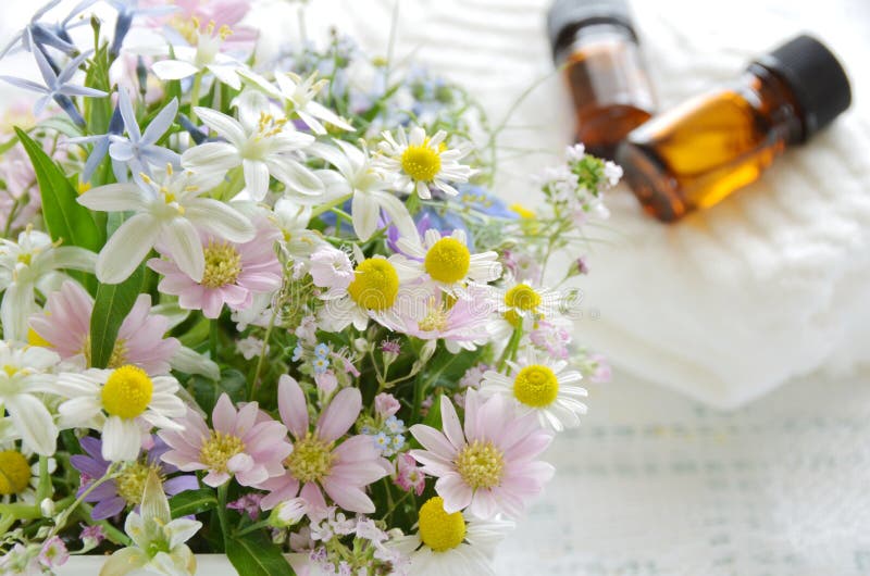 Aromatherapy royaltyfri foto