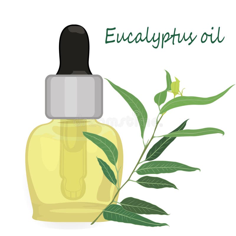Atención sanitaria del Aromatherapy del ejemplo del vector del aceite esencial del eucalipto