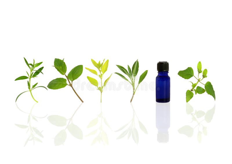 Aromatherapy Essential Oil Herbs Stock Photo Image of alternative
