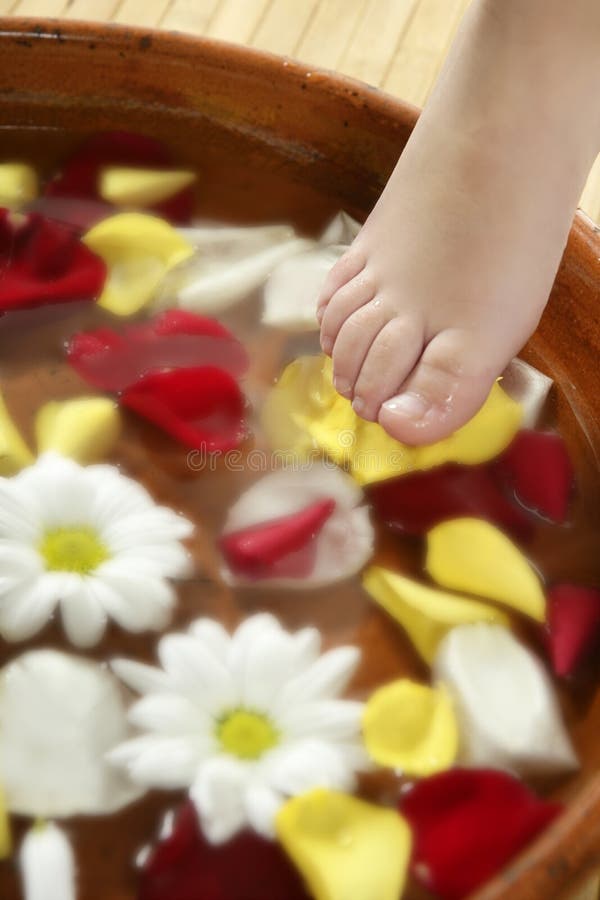 Aromatherapy, Flowers Feet Bath, Rose Petal Stock Photo Image of girl