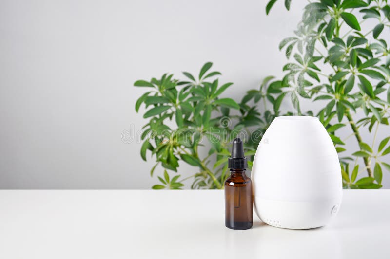 Ultrasonic Oil diffuser with glass amber bottle on white table of schefflera plant background