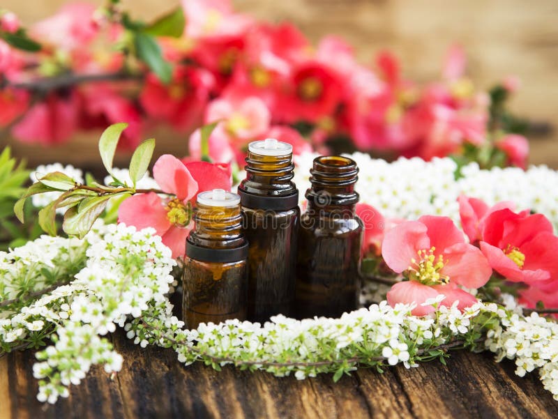 Aromatherapy kwiatu esencje w butelkach obraz royalty free Aromatherapy kwiatu esencje w butelkach obraz royalty free