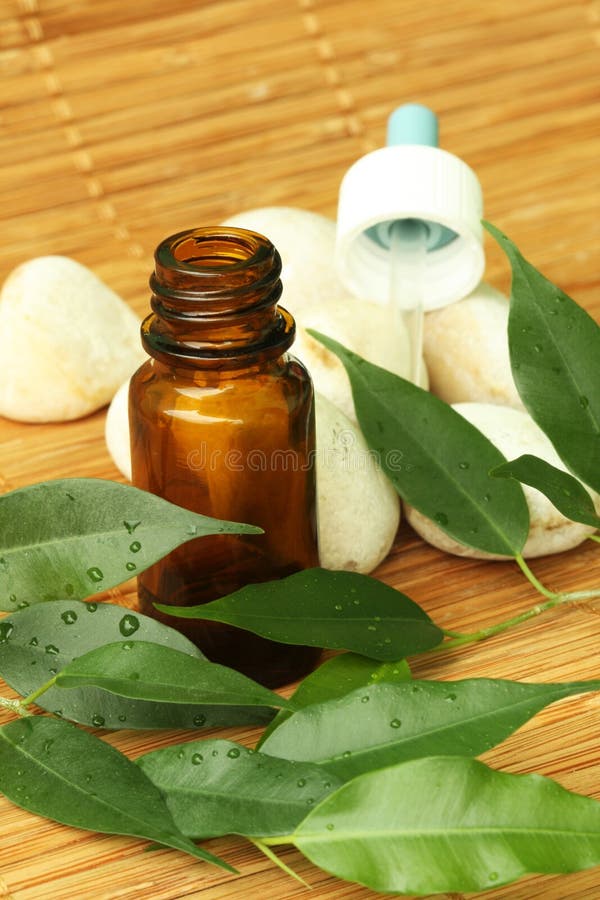 Aromatherapy oil stock image. Image of massage, lotion 15289719