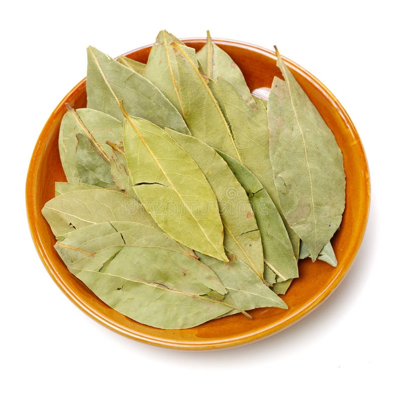 Aromatic bay leaves stock image. Image of herbal, leaves 142495537