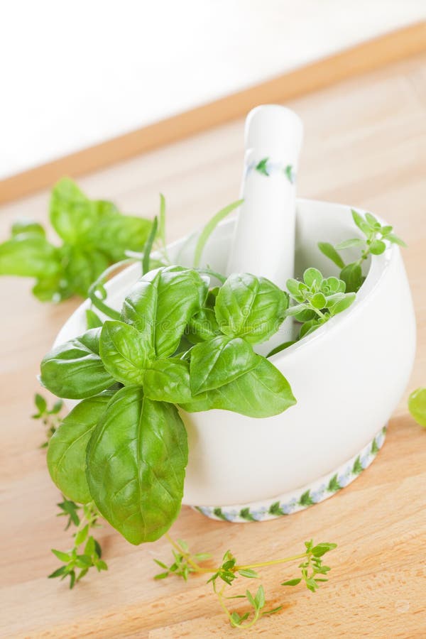Aromatic culinary herbs. stock photo. Image of aromatic 25181568