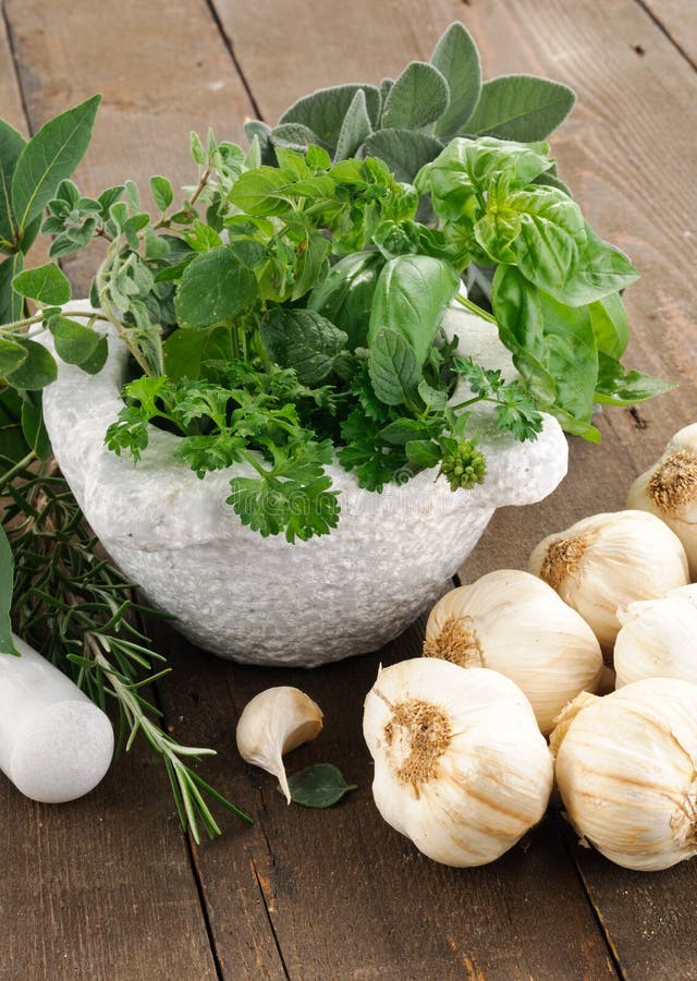 Mint aromatic herbs stock photo. Image of ingredient 21745980