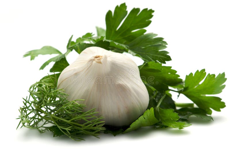 Aromatic herbs and garlic stock photo. Image of carlig 7793760