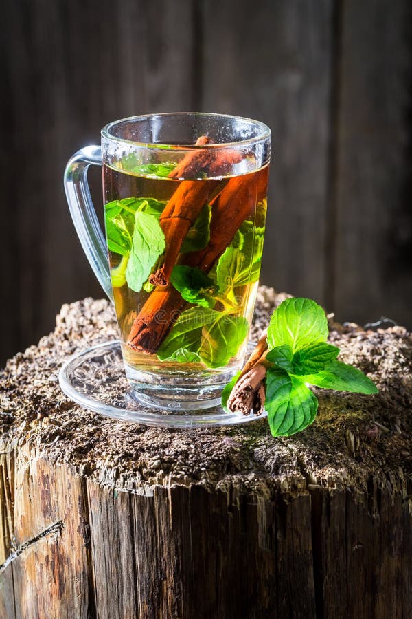 Aromatic tea with cinnamon bark and green leaves stock photography Aromatic tea with cinnamon bark and green leaves stock photography