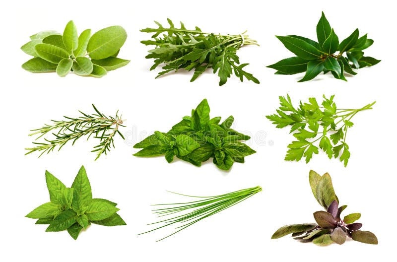 Aromatische Kräuter der Mischung stockfotografie Aromatische Kräuter der Mischung stockfotografie