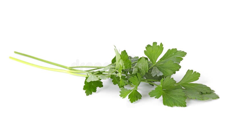Aromatische verse groene peterselie geïsoleerd stock fotografie