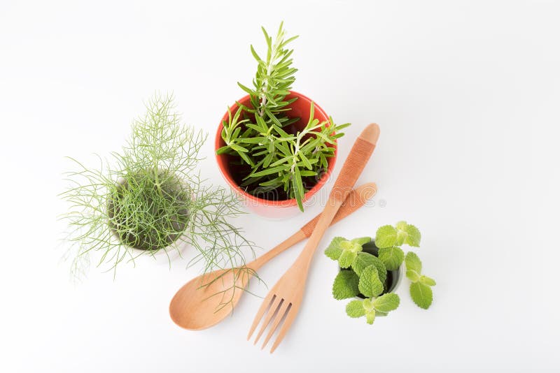 Aromatische verse kruiden royalty-vrije stock afbeelding