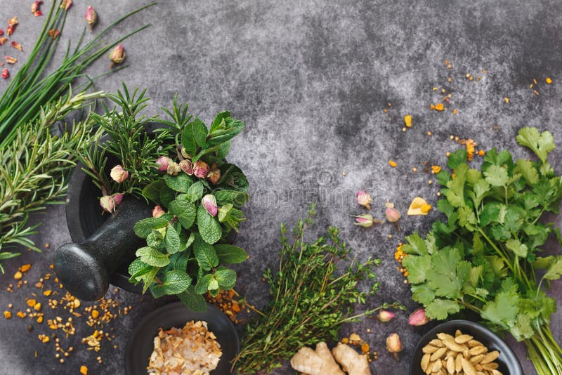 Aromatische verse kruiden en kruiden in mortier stock fotografie