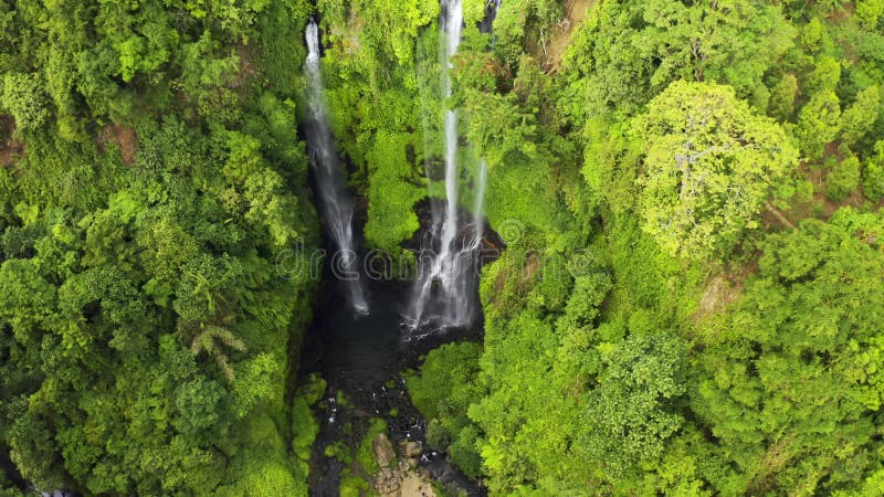 Around beautiful tropical Sekumpul Waterfall in Bali, Indonesia. Aerial view 4K