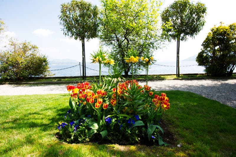 Lake Maggiore, Italian lake. royalty free stock photos Lake Maggiore, Italian lake. royalty free stock photos