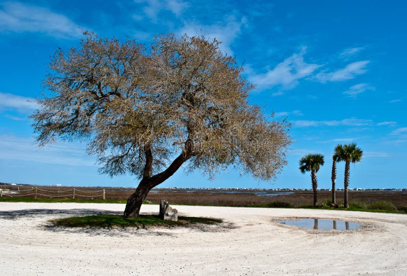 Morse Landing Stock Photos Free & RoyaltyFree Stock Photos from