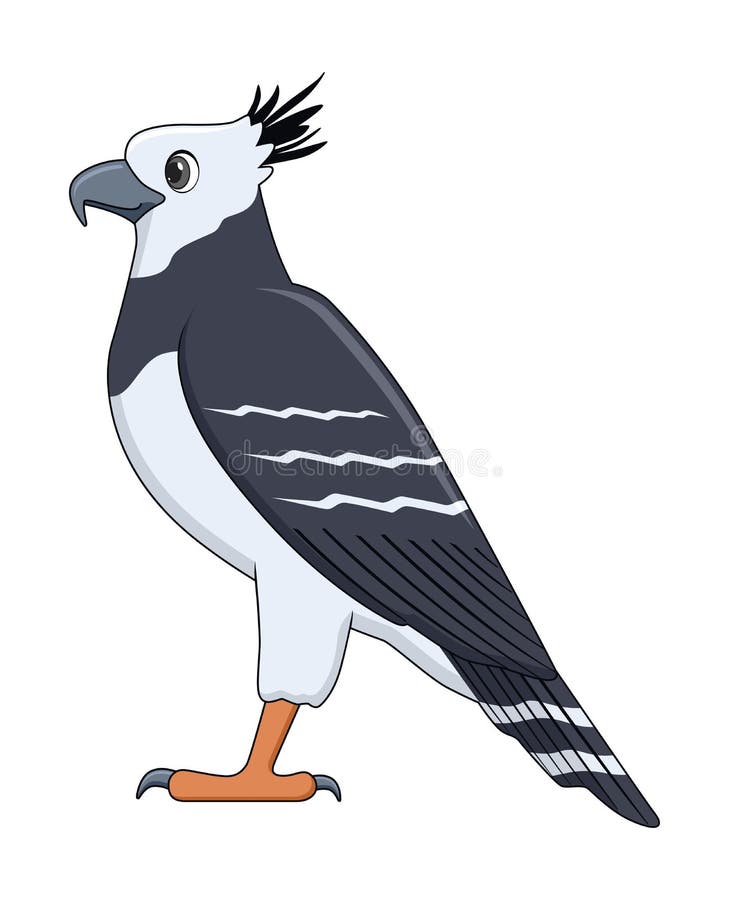 Arpía águila Pájaro En Un Fondo Blanco Ilustración del Vector - Ilustración  de vector, majestuoso: 204625595