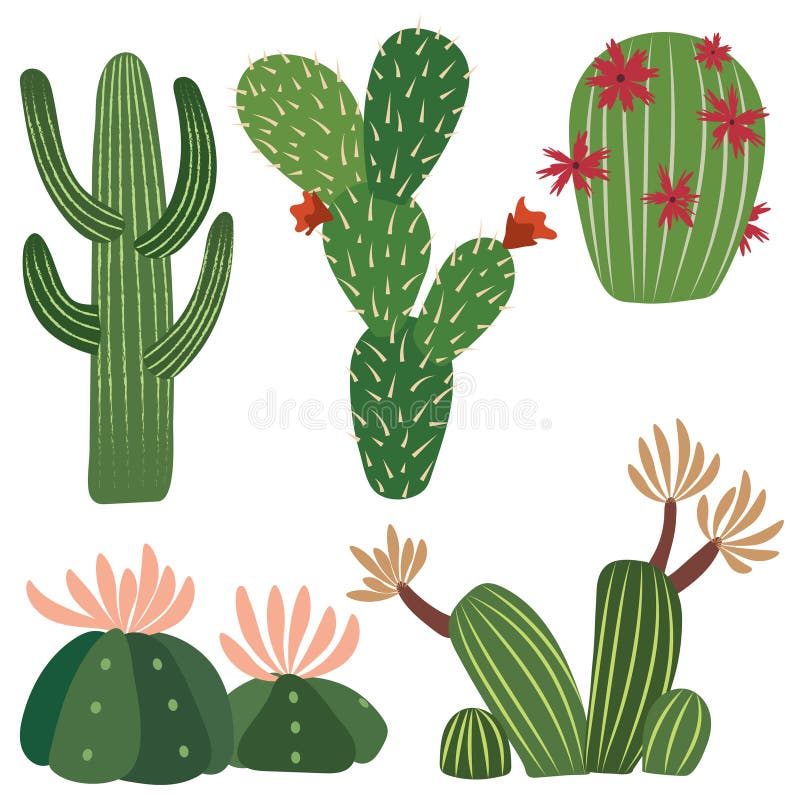 Vetor Desenho Único De Cactos Clipart De Stock, Royalty-Free