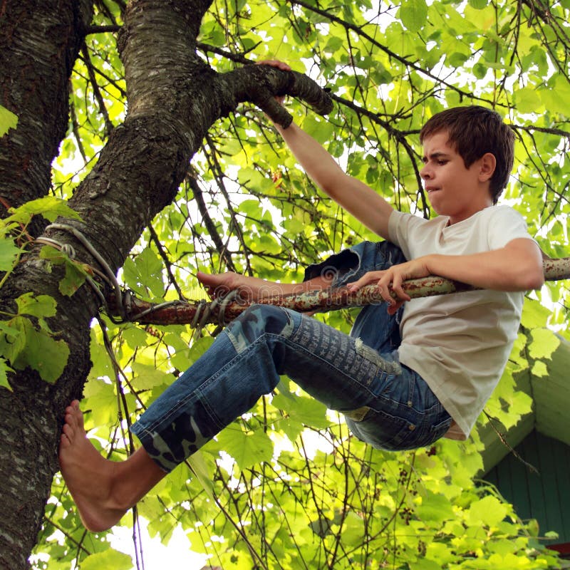 Arrampichi un albero fotografie stock libere da diritti Arrampichi un albero fotografie stock libere da diritti