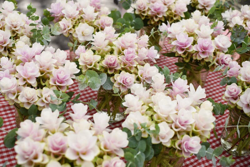 Arrangement of flowers at a farmers market, ginger plants blooming stock photos Arrangement of flowers at a farmers market, ginger plants blooming stock photos