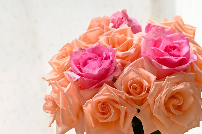 Arrangement romantic bouquet orange and pink rose blossom flower in vase with sunlight stock photo Arrangement romantic bouquet orange and pink rose blossom flower in vase with sunlight stock photo